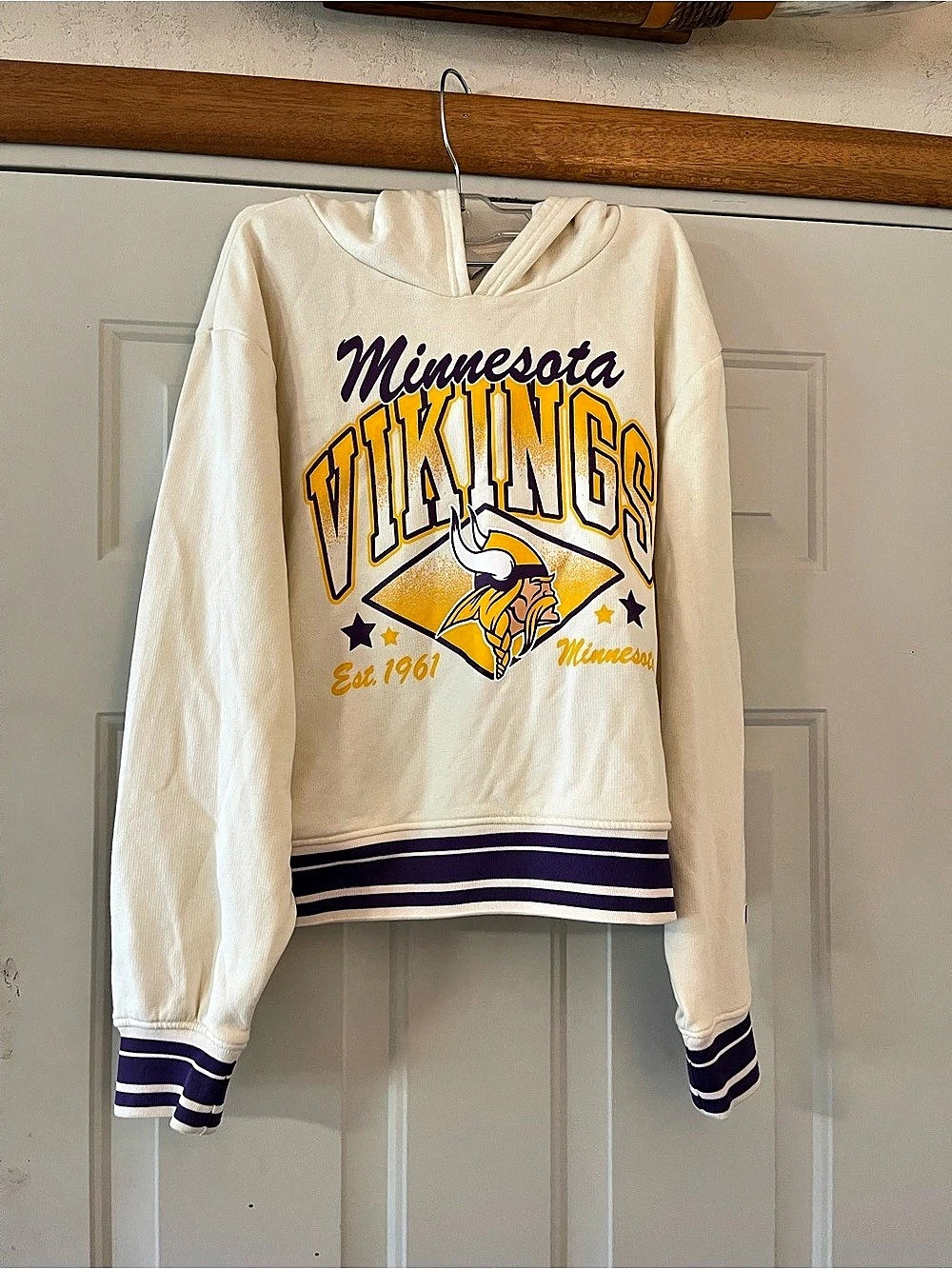 Vintage Champion Minnesota Vikings Hoodie Size Medium